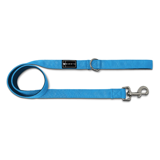 Blue Snap hook Lead