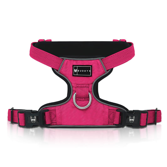 Hot Pink Harness