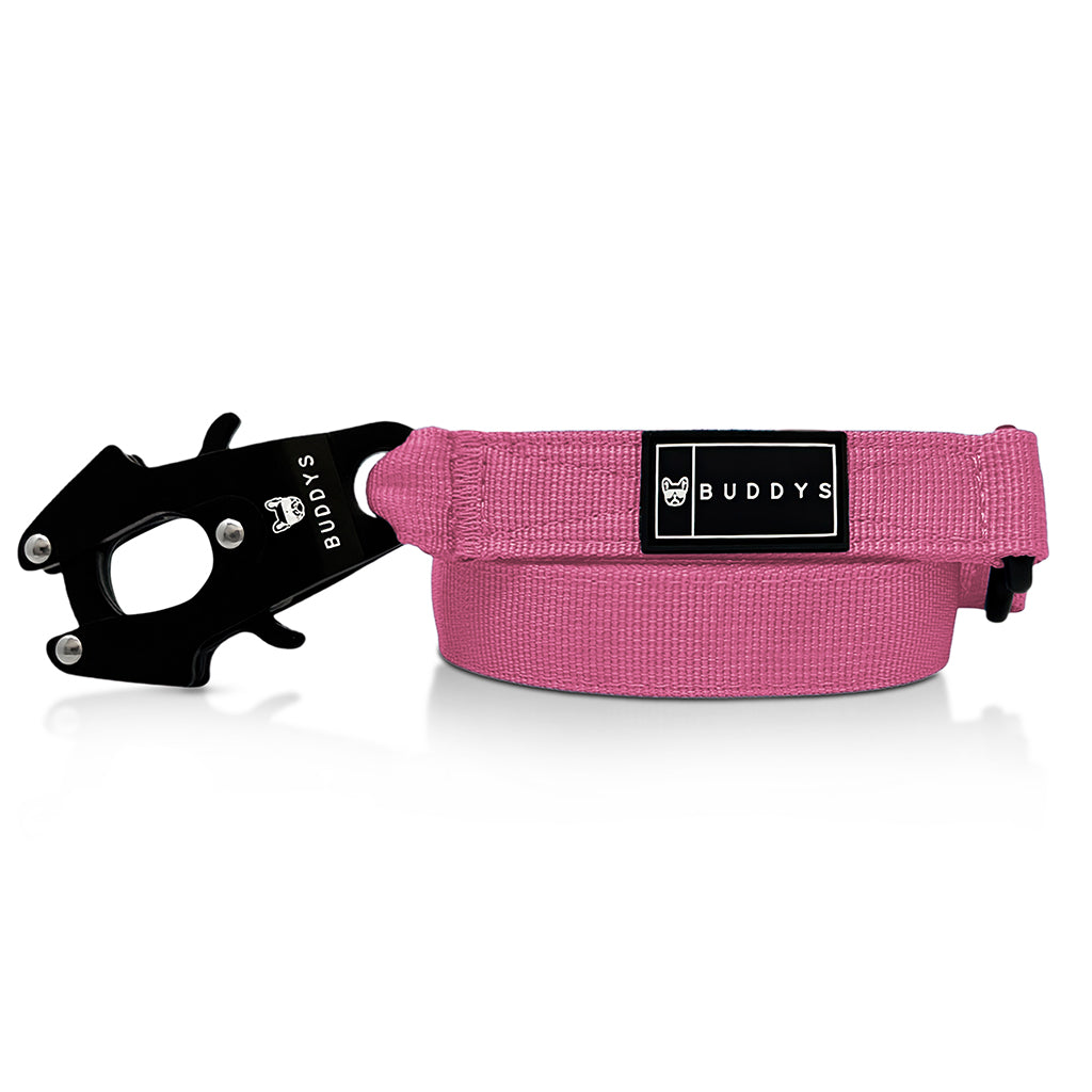 Light Pink Quick-Clip Lead