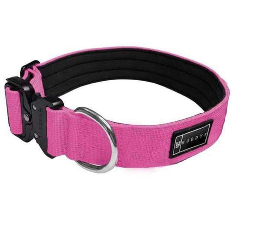 Hot Pink Collar